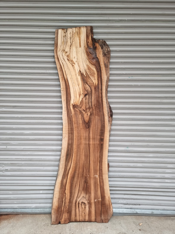 Live Edge Walnut Slab