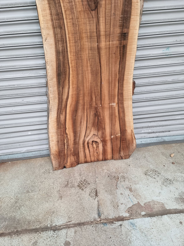 Live Edge Walnut Slab