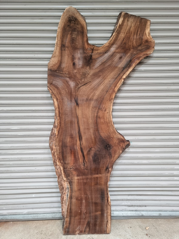 Live Edge Walnut Slab