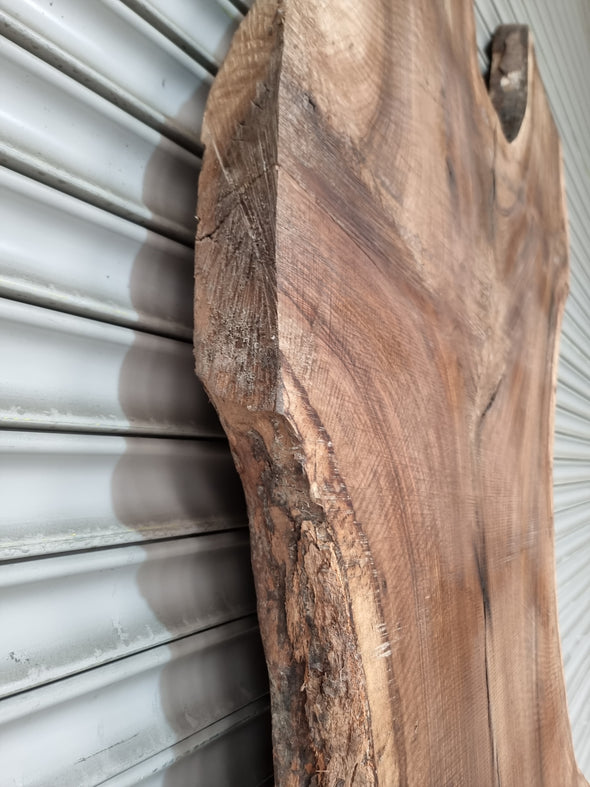 Live Edge Walnut Slab