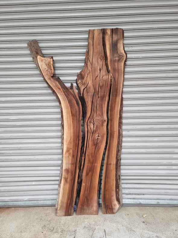 Live Edge Walnut Slab