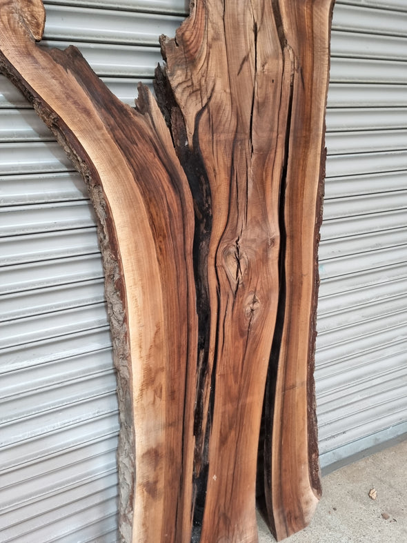 Live Edge Walnut Slab