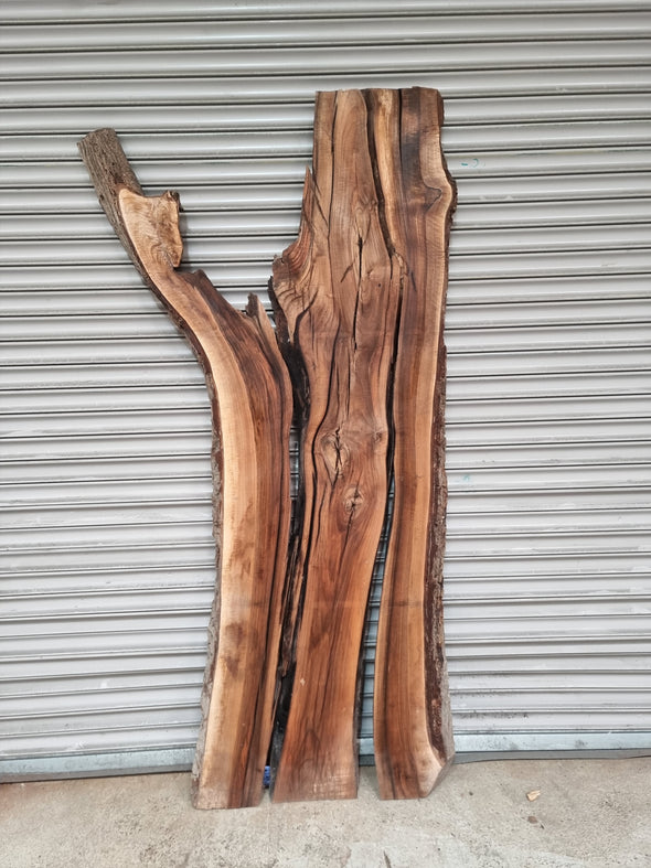 Live Edge Walnut Slab