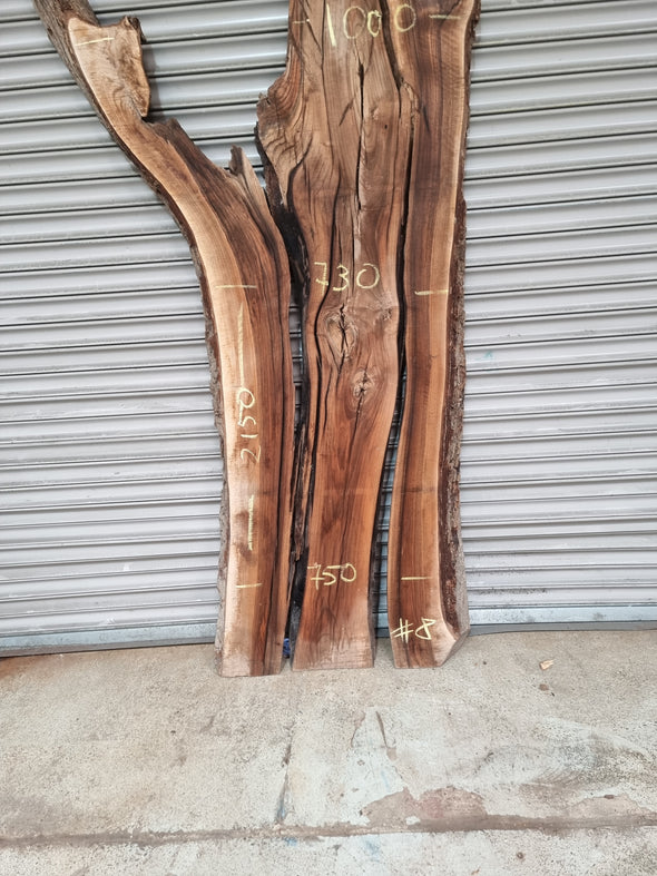 Live Edge Walnut Slab