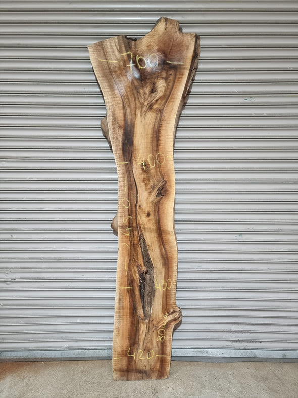 Live Edge Walnut Slab