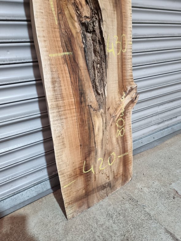 Live Edge Walnut Slab