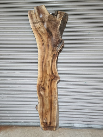 Live Edge Walnut Slab