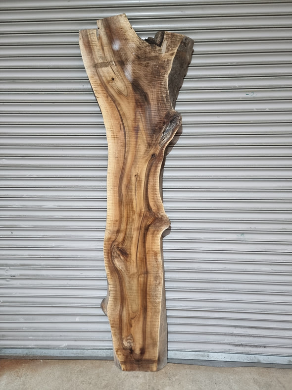 Live Edge Walnut Slab