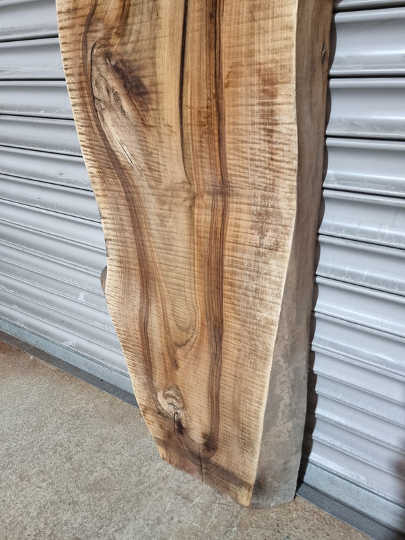 Live Edge Walnut Slab