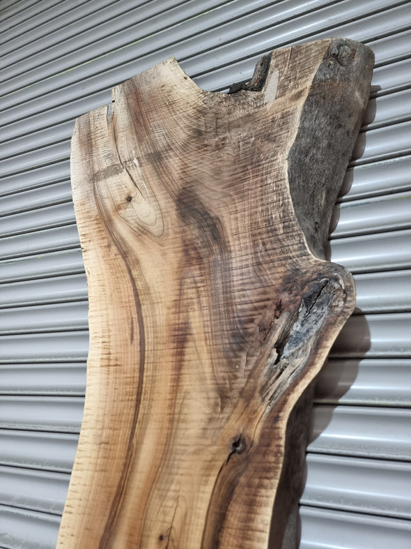 Live Edge Walnut Slab