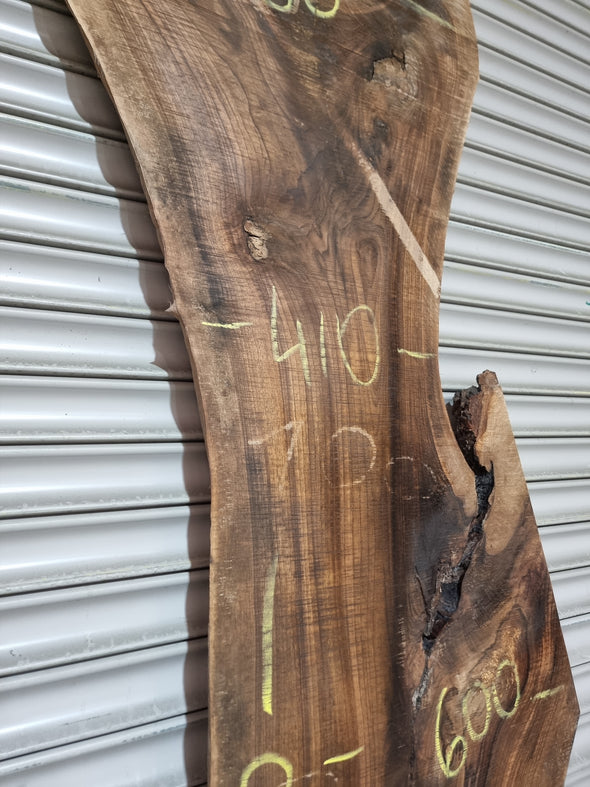 Live Edge Walnut Slab