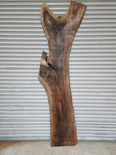 Live Edge Walnut Slab