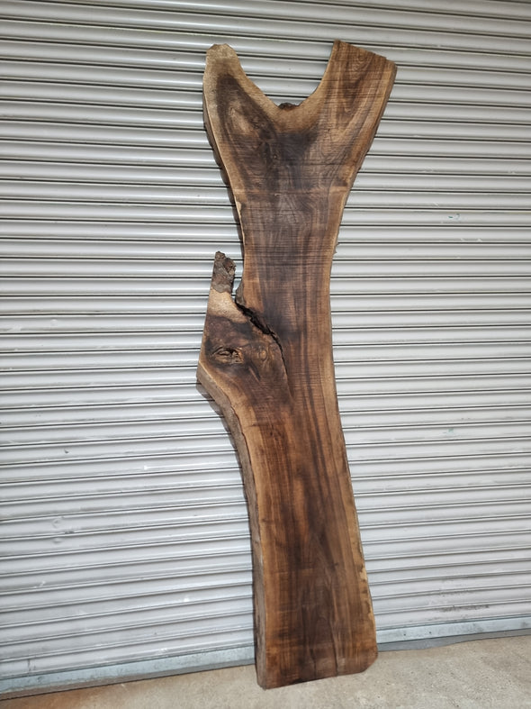 Live Edge Walnut Slab