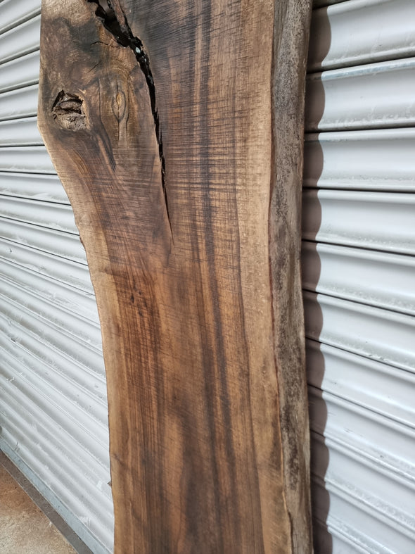 Live Edge Walnut Slab