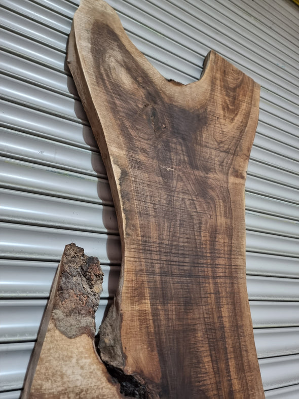 Live Edge Walnut Slab