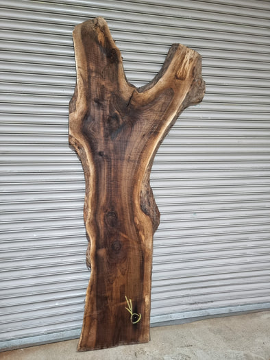 Live Edge Walnut Slab