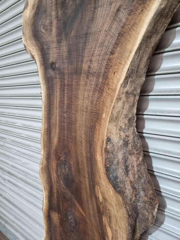 Live Edge Walnut Slab