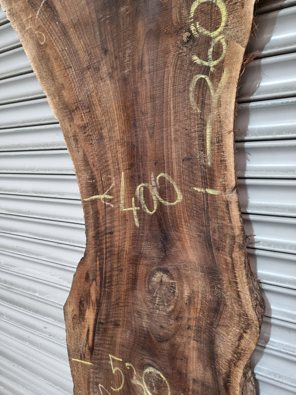 Live Edge Walnut Slab