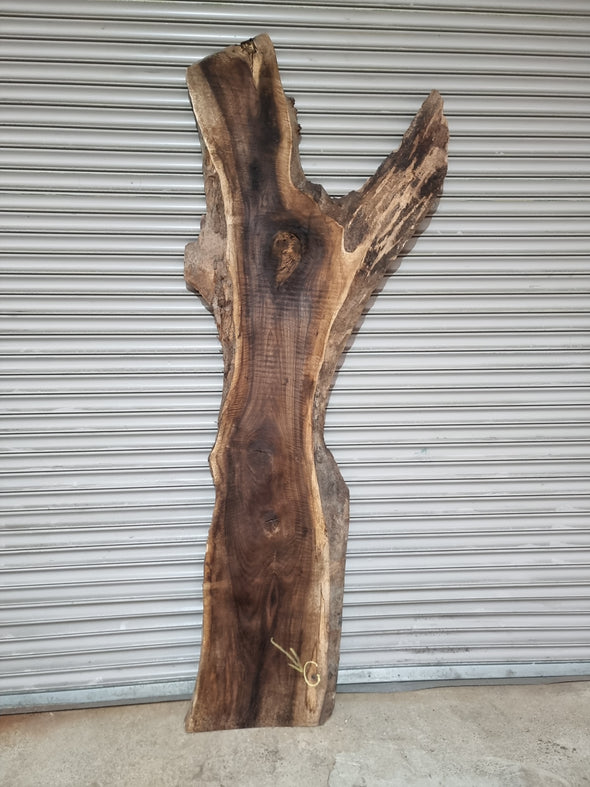 Live Edge Walnut Slab