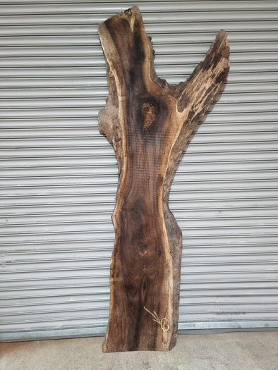 Live Edge Walnut Slab