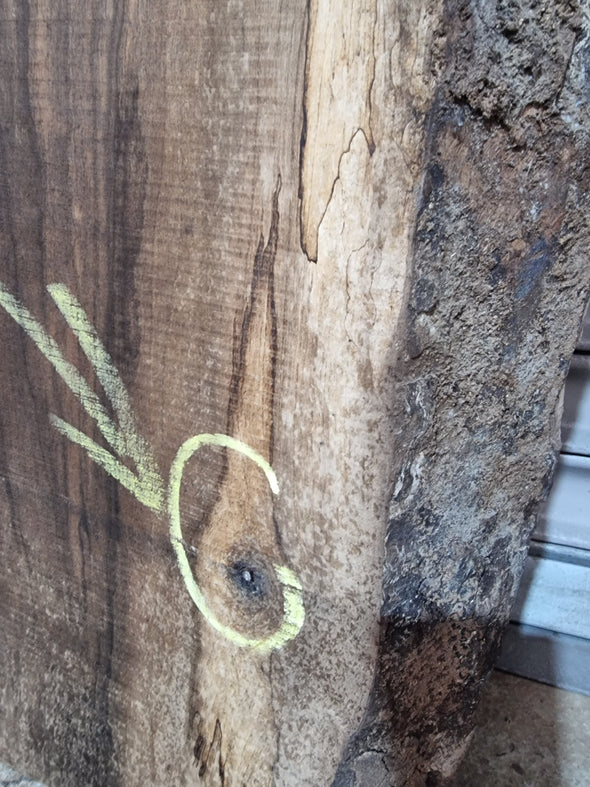 Live Edge Walnut Slab