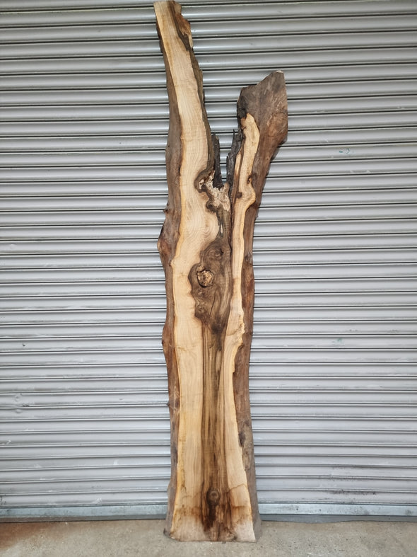 Live Edge Walnut Slab