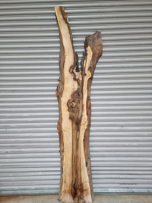 Live Edge Walnut Slab