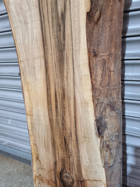 Live Edge Walnut Slab