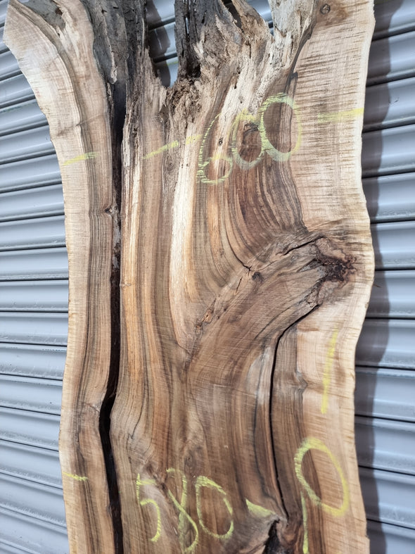 Live Edge Walnut Slab