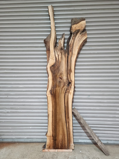 Live Edge Walnut Slab