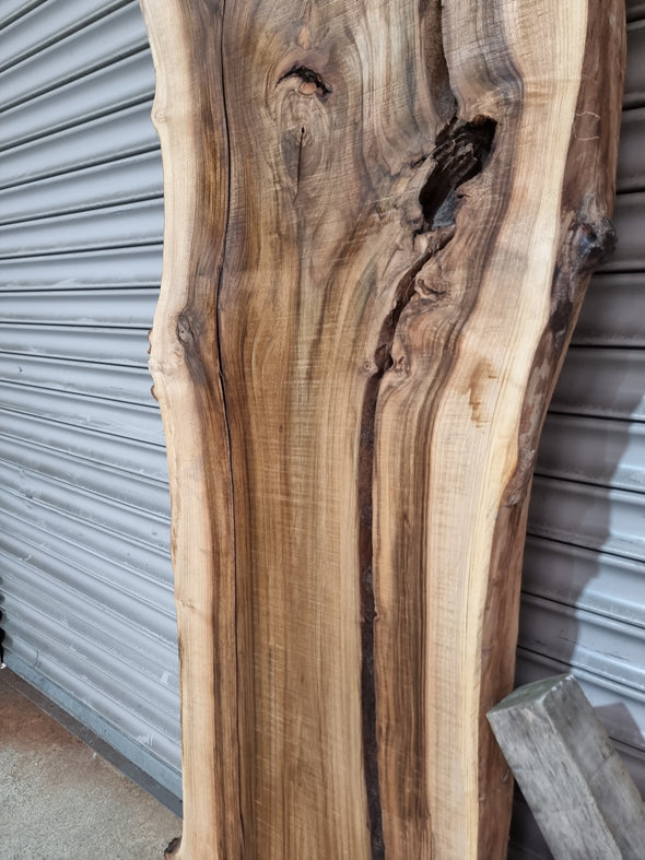 Live Edge Walnut Slab