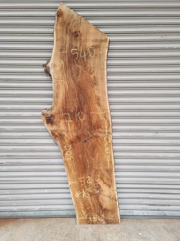 Live Edge Oak Slab