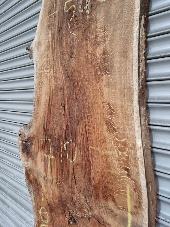 Live Edge Oak Slab