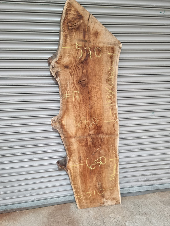 Live Edge Oak Slab