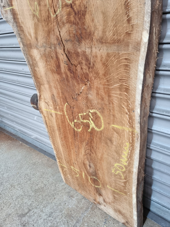 Live Edge Oak Slab