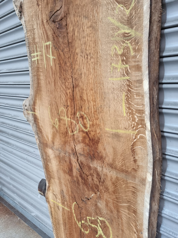 Live Edge Oak Slab