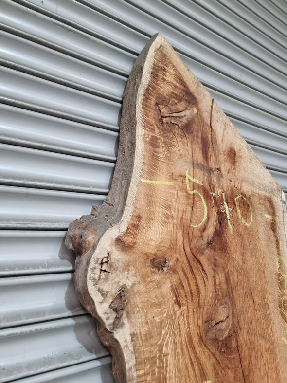 Live Edge Oak Slab