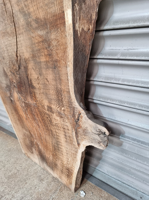 Live Edge Oak Slab