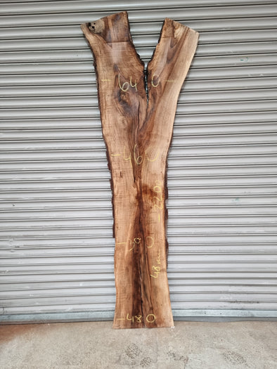 Live Edge Walnut Slab