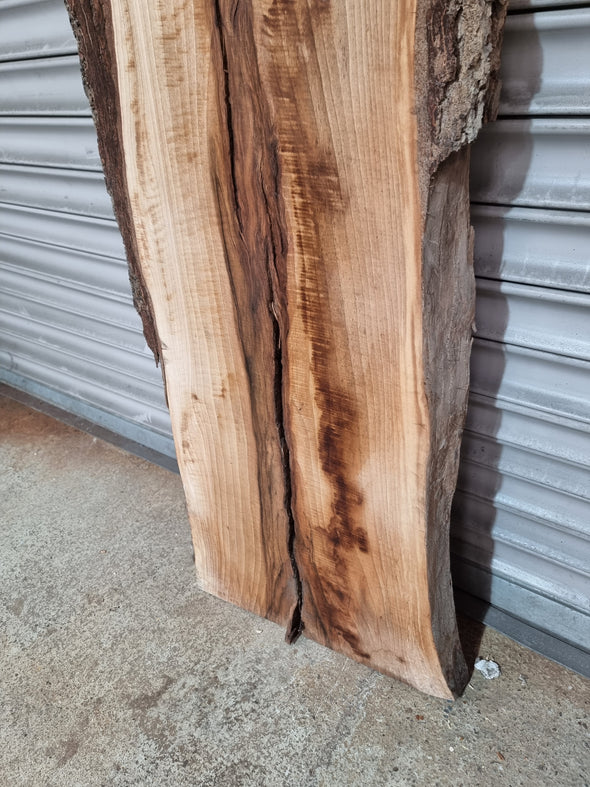 Live Edge Walnut Slab