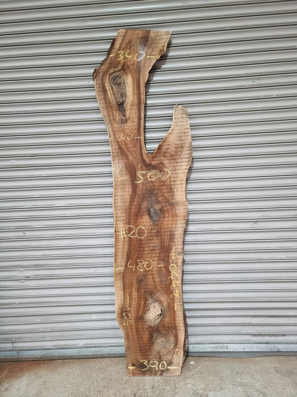 Live Edge Walnut Slab