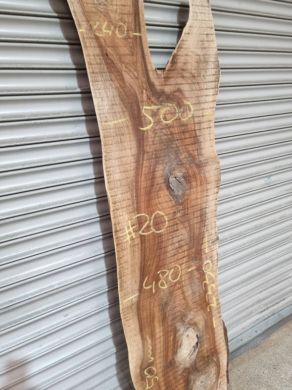 Live Edge Walnut Slab