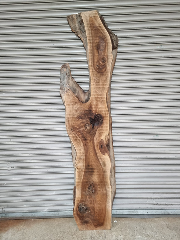 Live Edge Walnut Slab