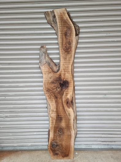 Live Edge Walnut Slab