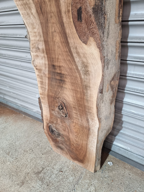 Live Edge Walnut Slab