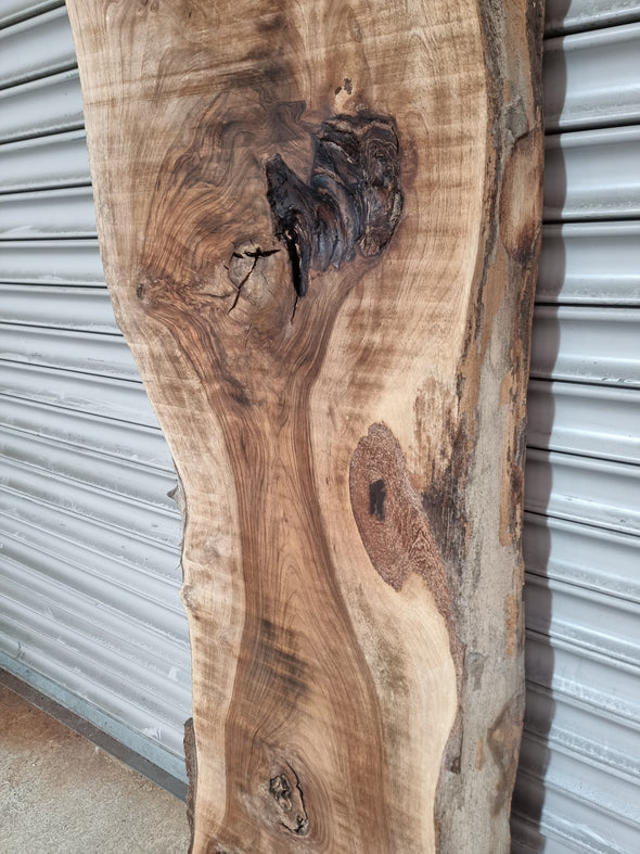 Live Edge Walnut Slab