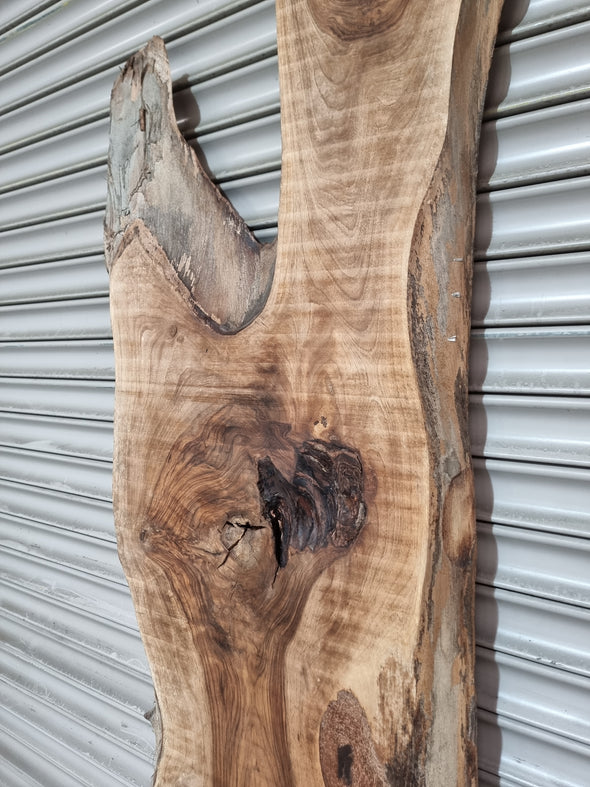 Live Edge Walnut Slab