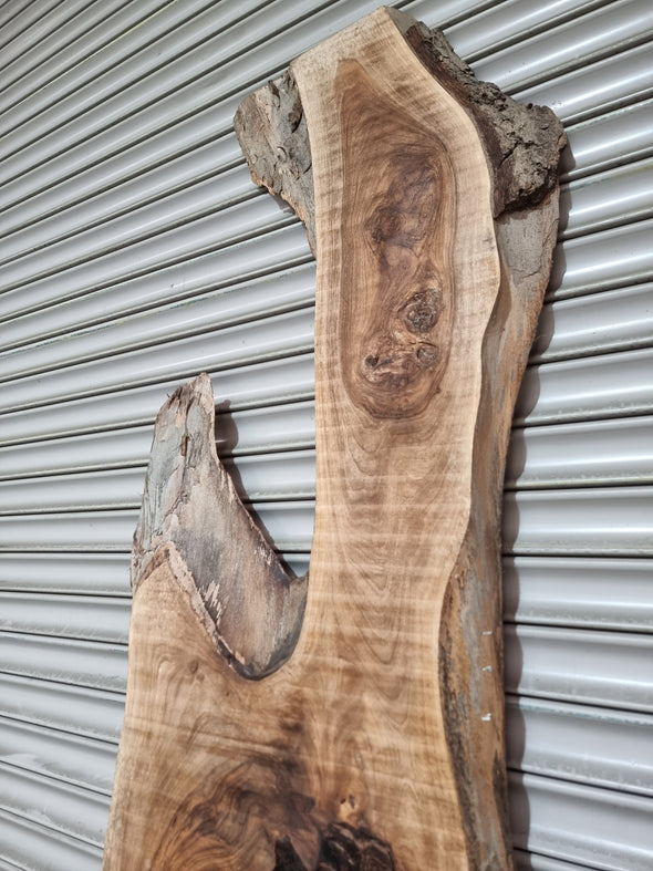 Live Edge Walnut Slab