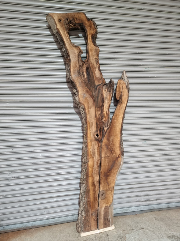 Live Edge Walnut Slab