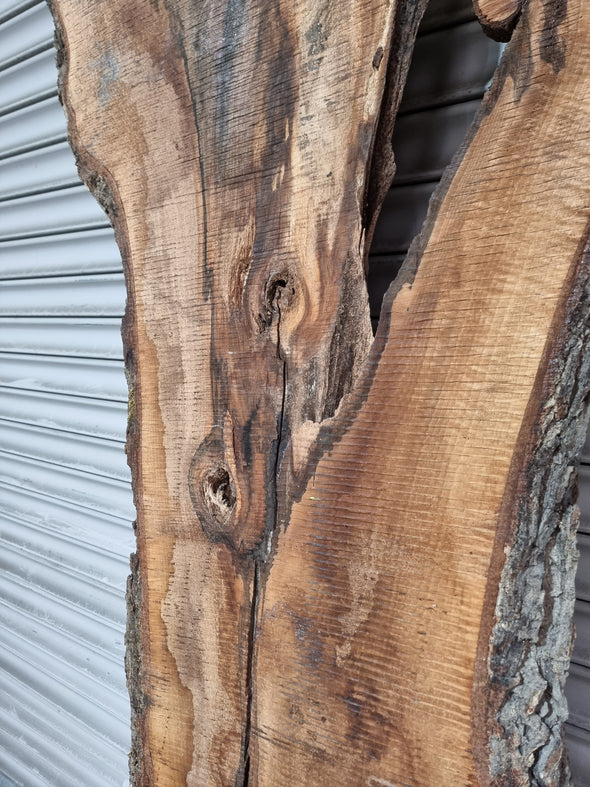 Live Edge Walnut Slab